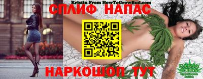 МДПВ Славянск-на-Кубани