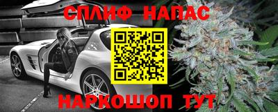 МДПВ Славянск-на-Кубани