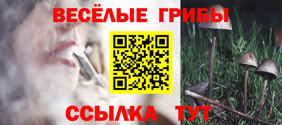 Галлюциногенные грибы Psilocybe  Вход с VPN  Нерюнгри  купить наркоту  Псилоцибиновые грибы Cubensis 