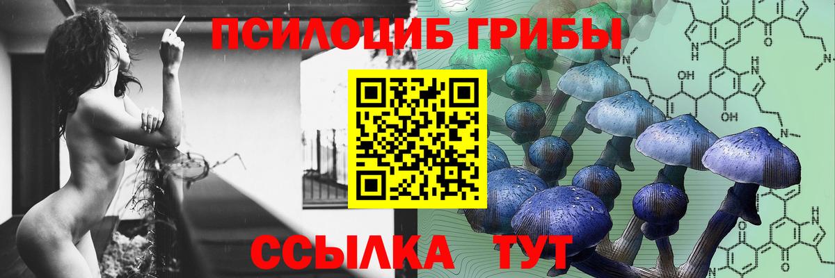 Псилоцибиновые грибы Cubensis Нерюнгри